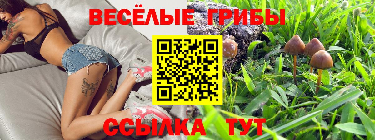 Галлюциногенные грибы мухоморы Ликино-Дулёво